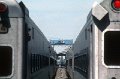 19890453-njt