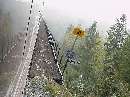 At 10 MPH we ease onto Hurricane Gulch trestle.