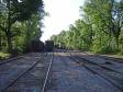 Mississippi Export Railroad back woods yard south of Lucedale.