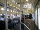 Our group aboard the 1051 streetcar along Market Street.