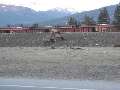 Dinner guests at Jasper; from restaurant window; note yard in background