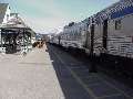 The Canadian at Jasper