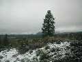 Snow in the mountains