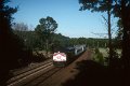 19930884-sle