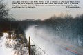 twttin-feb2024